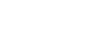 Denstock